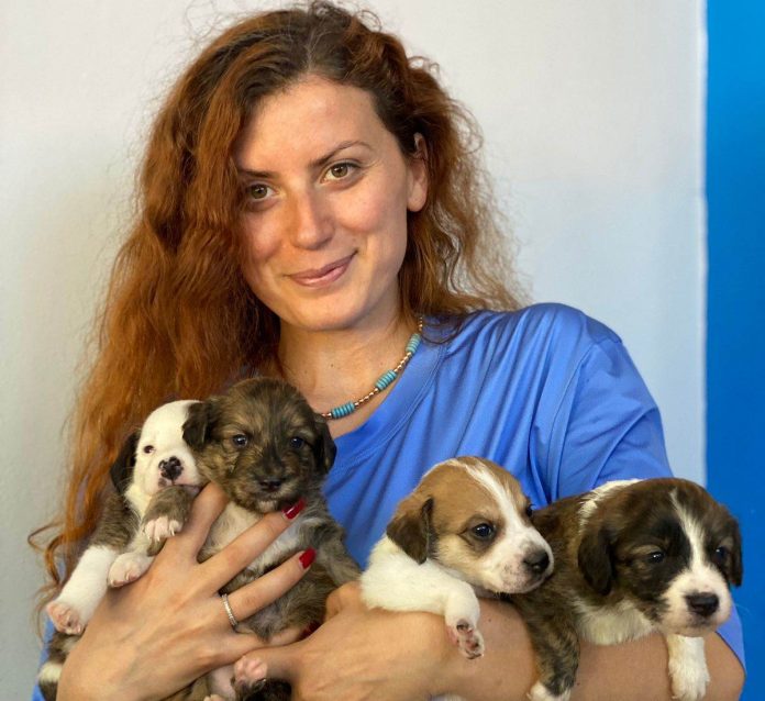 KANADA/ Nga Montreali në Shkodër, Oli Pero dhe “Animals Need Me” firmosin kontratë bashkëpunimi për qentë endacakë