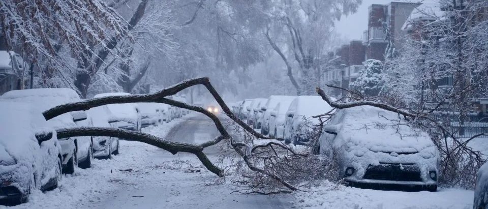 KANADA/ Stuhia e borës lë pa energji qindra mijëra banorë në gjithë Quebec